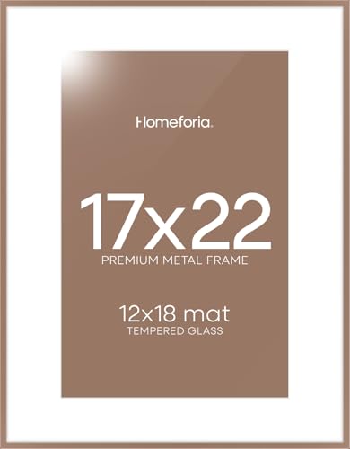 17x22 Mocha Picture Frame (2 Count)