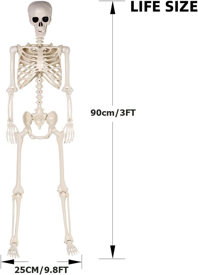4 Pack 36" Halloween Skeleton
