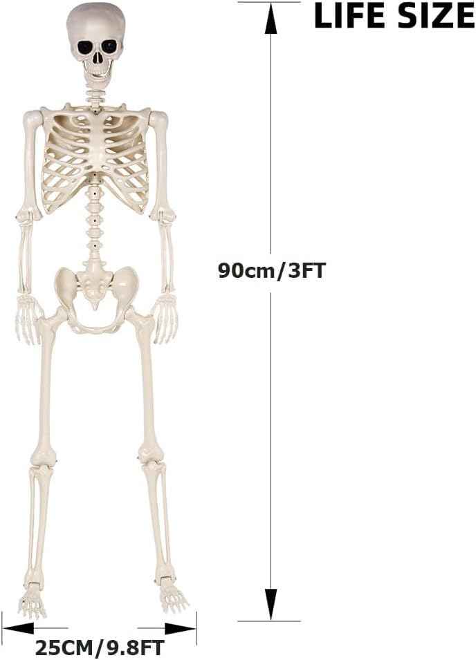 2 Pack 36" Halloween Skeleton