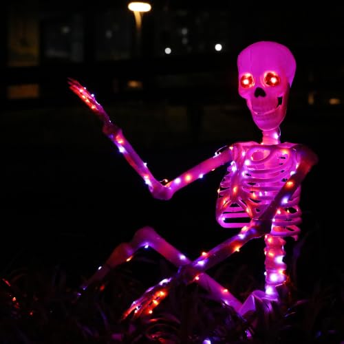 Halloween Decorations Outdoor Skeletons Set (Orange/Purple)