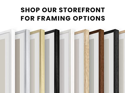 Walnut Oak Wood 10x10 Picture Frames