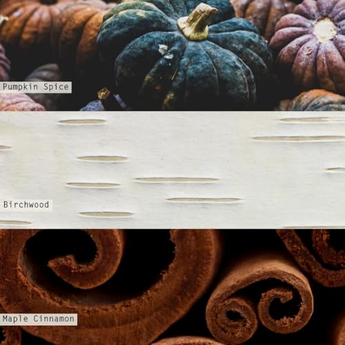 Noble Holiday Collection Midnight Pumpkin Vanity Tin Candle