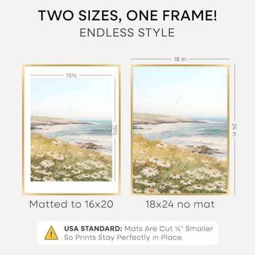 18x24 Gold Poster Frame