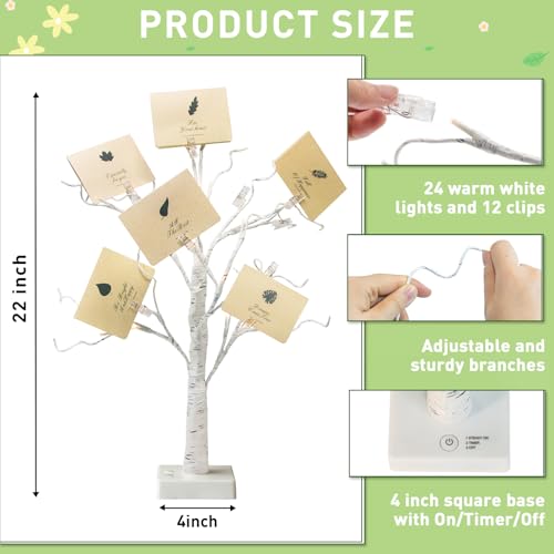 Money Tree Gift Holder