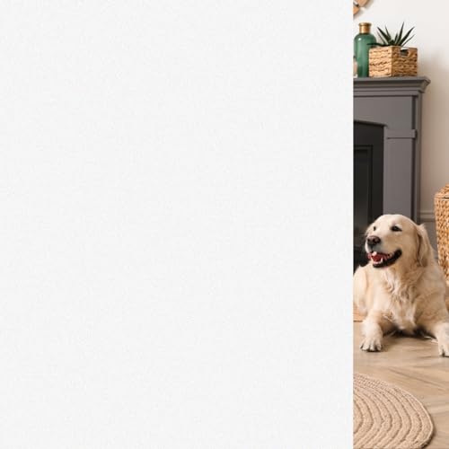 Frosted Window Privacy Film (24.19 Sq Ft)