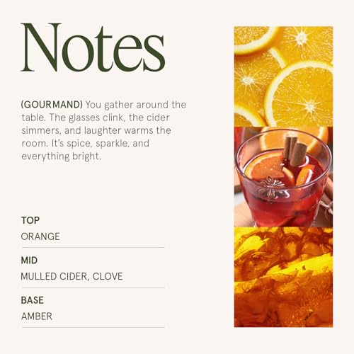Sparkling Cider Mule Scented Candles for Home