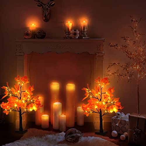 2 Pack Lighted Maple Tree 20 Inch 48LED Fall Artificial Tree for Thanksgiving Harvest Indoor Decoration (2 Count)