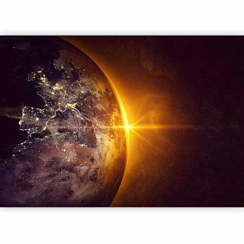 Wall Mural Wallpaper (5 Count)