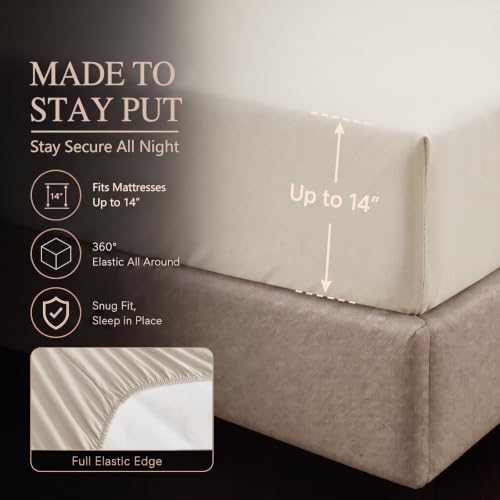 King Size Comforter Set Beige