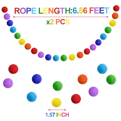 Rainbow Colorful Pom Pom Garland Decorations (2 Count)
