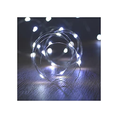 Fairy Lights Battery Operated (10 Foot)