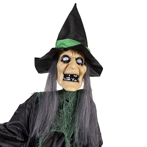Evergreen Flying Witch Stake for Halloween Outdoor Decoration (Flying Witch, Set of 1)