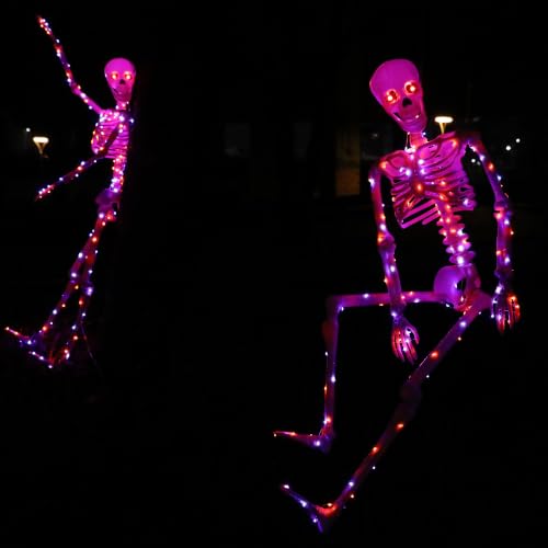 Halloween Decorations Outdoor Skeletons Set (Orange/Purple)