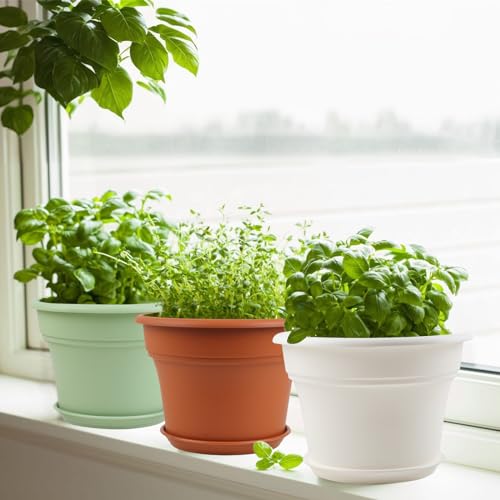6 Inch Plastic (6 Count)
