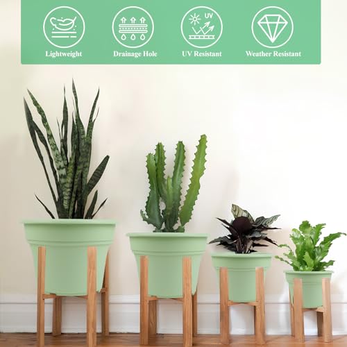 6 Inch Plastic (6 Count)