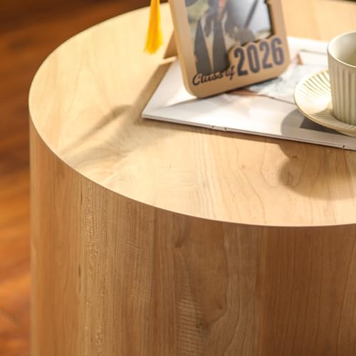 Nesting Round Coffee Table Set of 2 (2 Count)