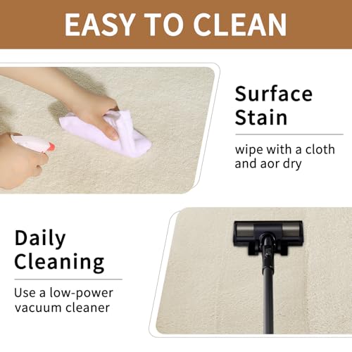 Area Rugs 9x12 for Living Room Bedroom (108 Sq Ft)