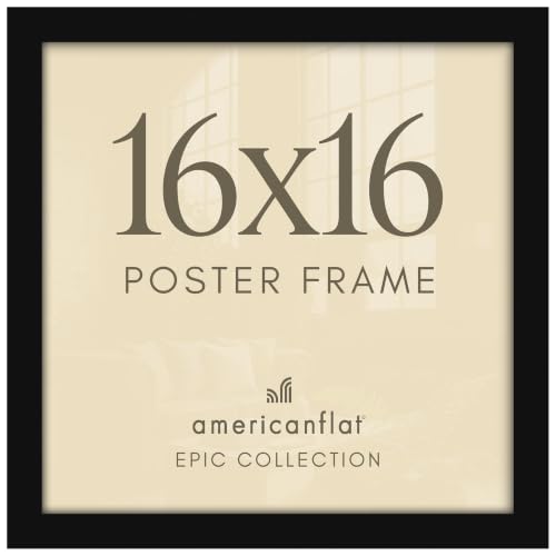 16x16 Poster Frame