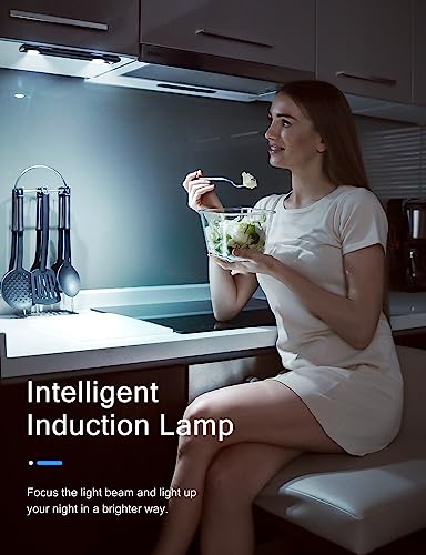 Under Cabinet Lights (2 Count)
