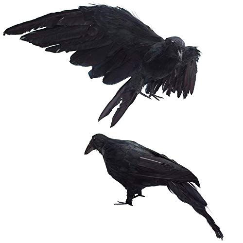 2 Pack Realistic Crows Lifesize Extra Large Handmade Black Feathered Crow for Halloween Decorations Birds (2 Count)