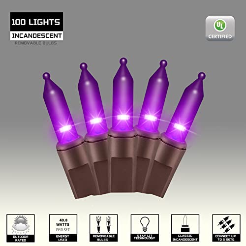 100LIGHTS Purple Extra (100 Count)