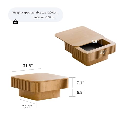 Square Small Coffee Table with Storage