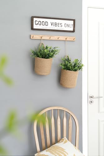 2 Pack Woven Hanging Wall Basket 6.5"W×7"H with Artificial Eucalyptus (6 Count)