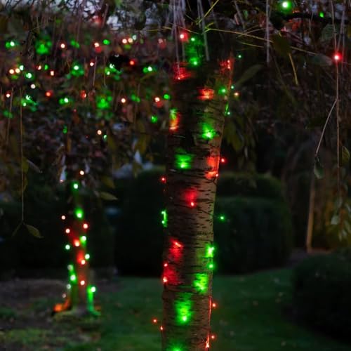 Red and Green Christmas String Lights