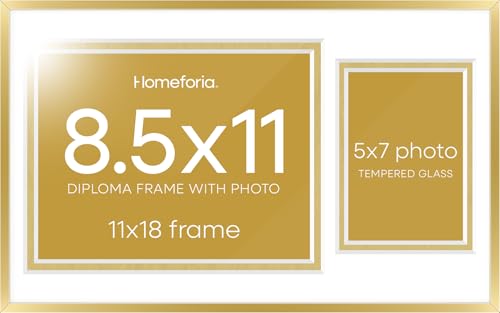 11x18 Gold Diploma Frame