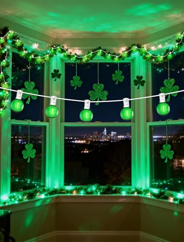 25Ft LED Outdoor String Lights with 12+1 Shatterproof Bulbs (25 Foot)