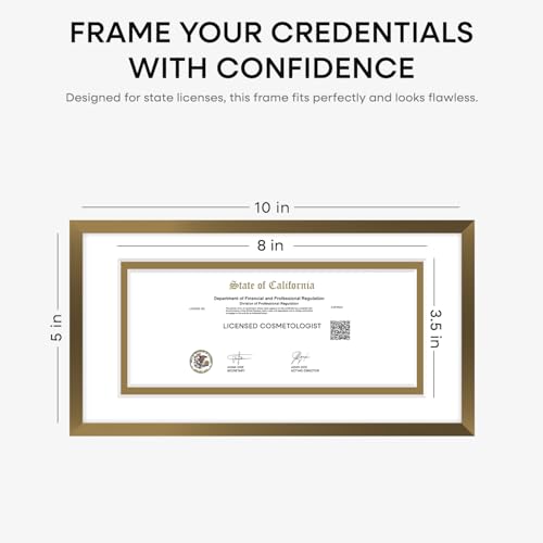 5x10 Bronze License Frame (3 Count)