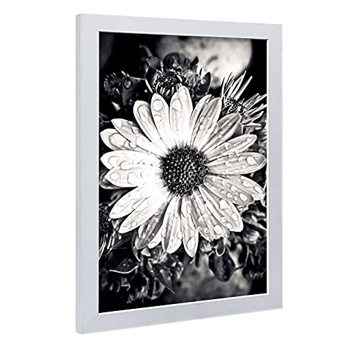 11x17 Picture Frames 3 Pack (3 Count)