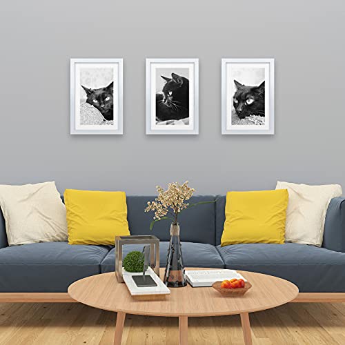 11x17 Picture Frames 3 Pack (3 Count)