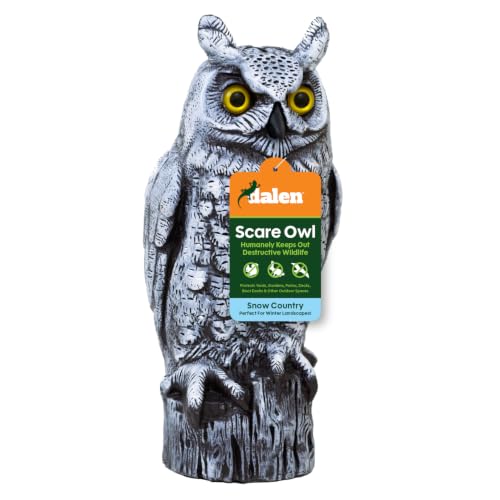 Fake Owl Decoy to Scare Birds Away from Gardens