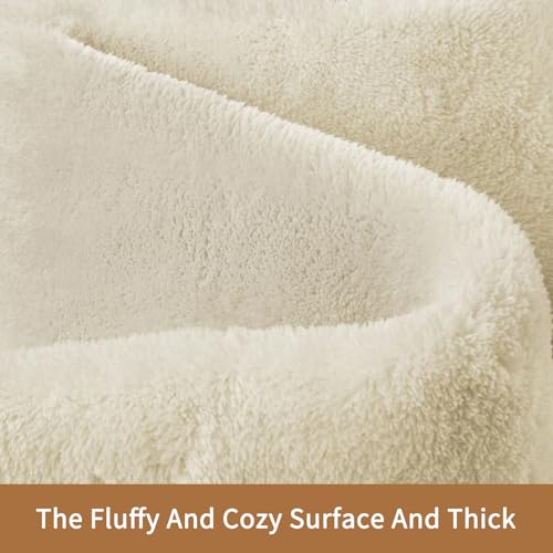 6x9 Area Rugs for Living Room Bedroom
