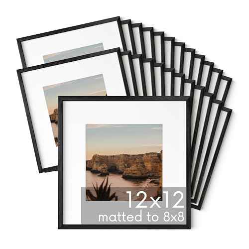 12x12 Black Metal Picture Frames Matted to 8x8