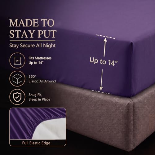 Queen Comforter Set Purple