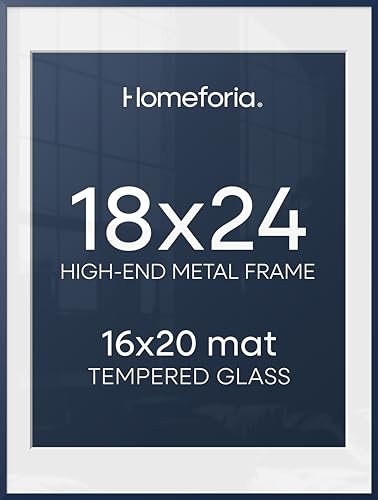 18x24 Blue Poster Frame