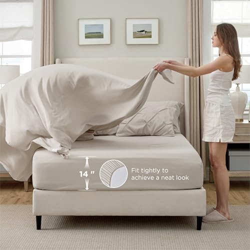Twin Comforter Set & Sheet Set