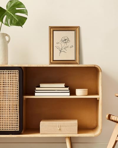 Vintage Gold Framed Wall Art for Living Room