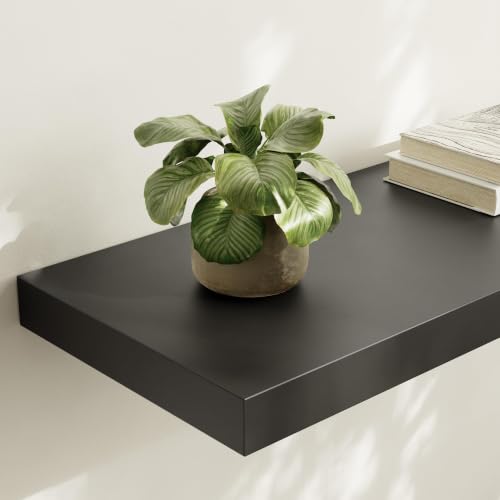 Floating Shelf (2 Count)