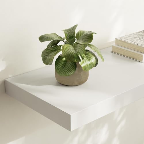 Floating Shelf