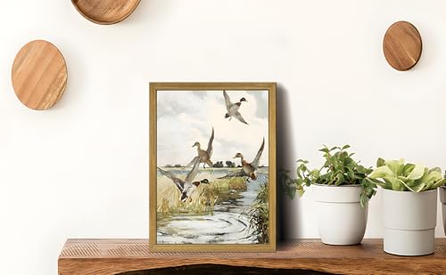 Vintage Framed Duck Wall Art Print