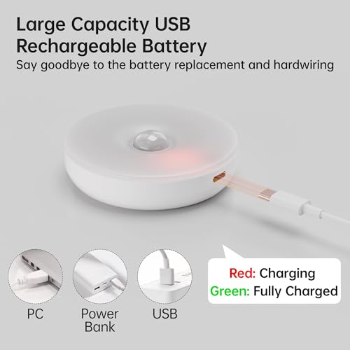 Rechargeable Puck Light with Remote