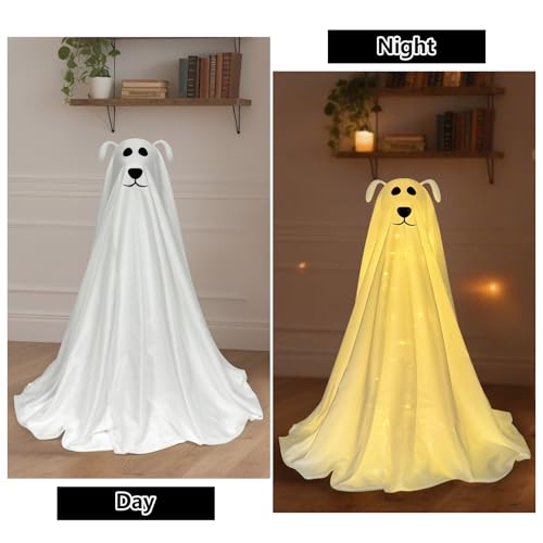Halloween Decorations