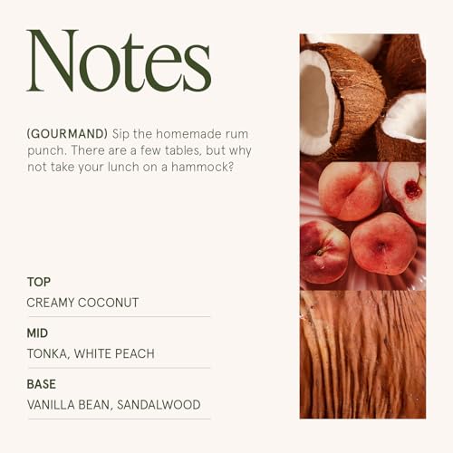 Island Coconut Vanilla Scented Candles for Home (19.4 Ounce)