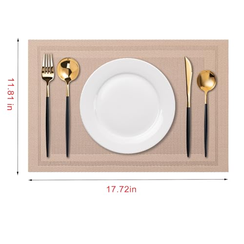 Placemats Set of 6 Washable Indoor (6 Count)
