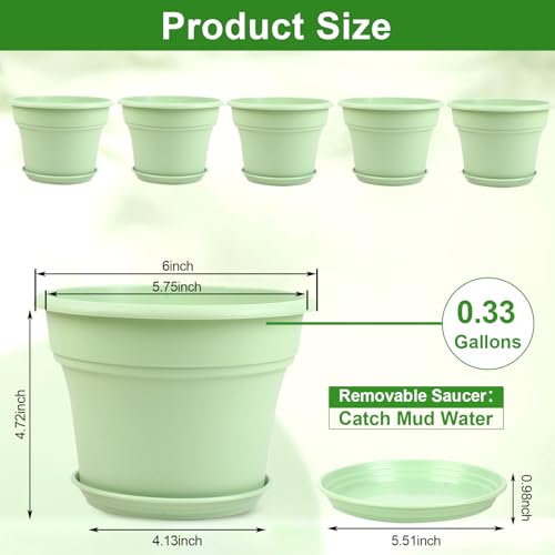 6 Inch Plastic (6 Count)