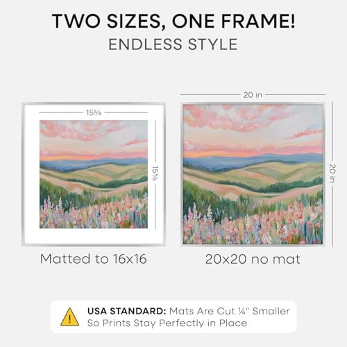 20x20 Silver Picture Frame (2 Count)