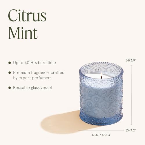 Citrus Mint Scented Candles for Home (6 Ounce)